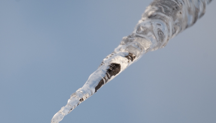 winterkriebels-landschap-natuurfotografie-verzinhet-fotografie