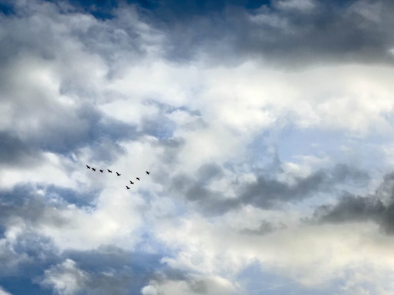 noord-achter-esch-markelo-fotograaf-verzinhet-fotografie-marian-waanders-hof-van-twente-FSMW-20230105-5432