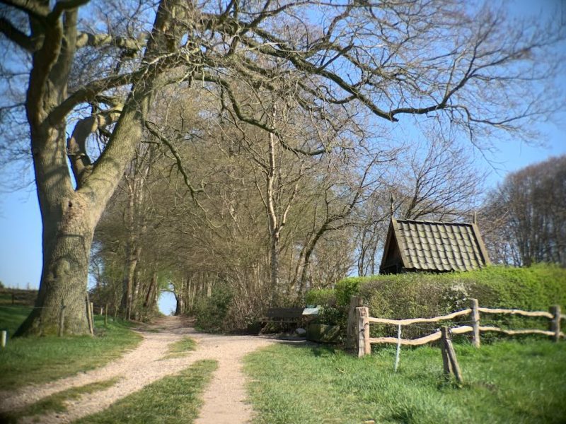 beste-fotospots-in-markelo