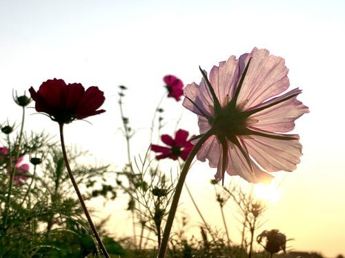 beste-fotospots-in-markelo