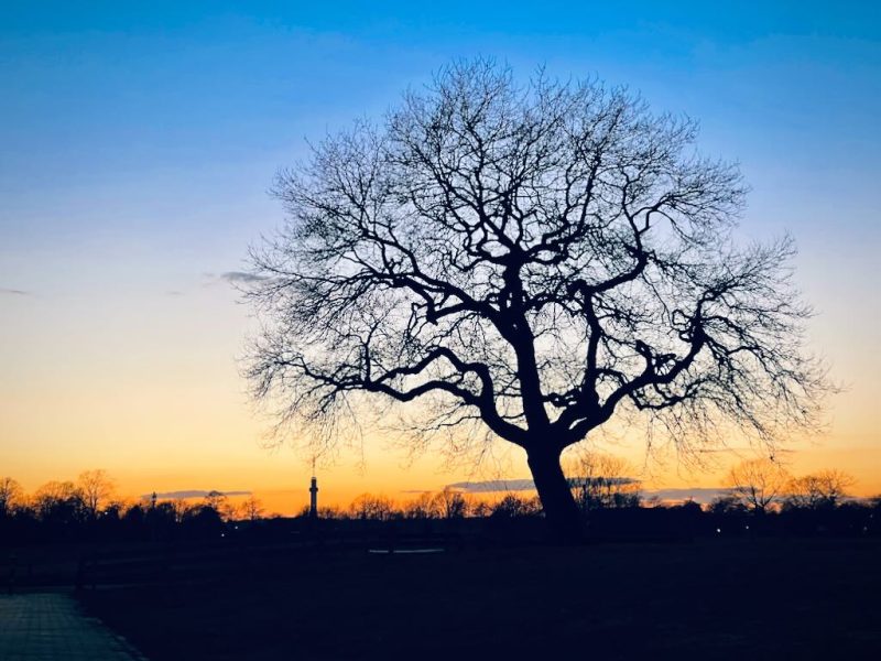 beste-fotospots-in-markelonoordachteresch-verzinhet-fotografie-2